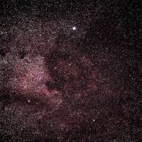 Caldwell 20©Thea Schenk